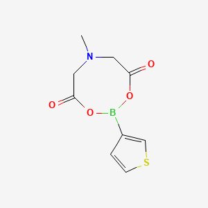 molecular formula C9H10BNO4S B3023093 6-甲基-2-(噻吩-3-基)-1,3,6,2-二噁杂硼杂环丁烷-4,8-二酮 CAS No. 1356166-65-8