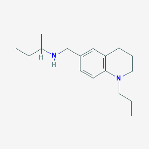 molecular formula C17H28N2 B3023213 N-(sec-butyl)-N-[(1-propyl-1,2,3,4-tetrahydroquinolin-6-yl)methyl]amine CAS No. 1119450-28-0