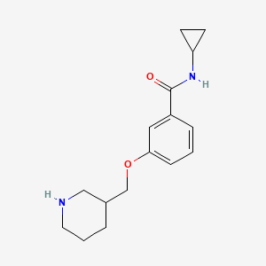 N-cyclopropyl-3-(piperidin-3-ylmethoxy)benzamide