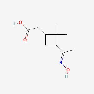 molecular formula C10H17NO3 B3023623 2-[3-[(E)-N-hydroxy-C-methylcarbonimidoyl]-2,2-dimethylcyclobutyl]acetic acid CAS No. 90978-91-9