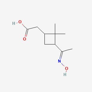 PINONIC ACID OXIME