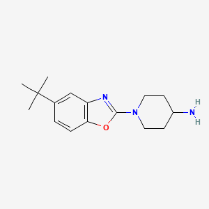 molecular formula C16H23N3O B3024291 1-(5-Tert-butyl-1,3-benzoxazol-2-yl)piperidin-4-amine CAS No. 1035840-48-2