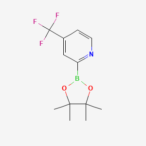 molecular formula C12H15BF3NO2 B3024387 2-(4,4,5,5-Tetramethyl-1,3,2-dioxaborolan-2-yl)-4-(trifluoromethyl)pyridine CAS No. 1096689-46-1