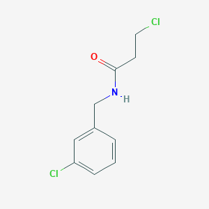 molecular formula C10H11Cl2NO B3024477 3-chloro-N-(3-chlorobenzyl)propanamide CAS No. 103040-54-6