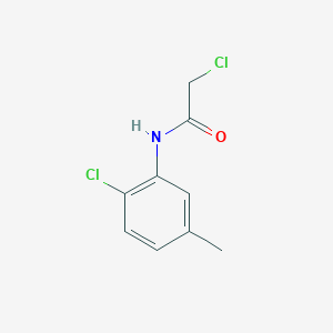 molecular formula C9H9Cl2NO B3024538 2-chloro-N-(2-chloro-5-methylphenyl)acetamide CAS No. 99585-92-9