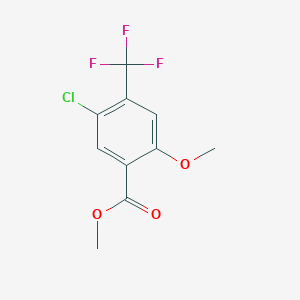 molecular formula C10H8ClF3O3 B3024752 Methyl 5-chloro-2-methoxy-4-(trifluoromethyl)benzoate CAS No. 885518-15-0