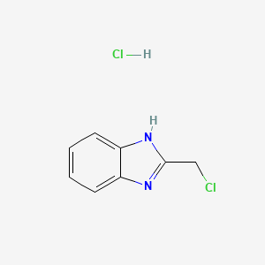 molecular formula C8H8Cl2N2 B3024875 2-(氯甲基)-1H-苯并咪唑盐酸盐 CAS No. 91862-40-7