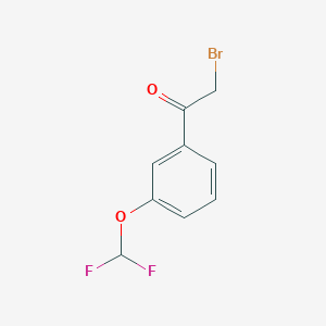 molecular formula C9H7BrF2O2 B3025294 2-Bromo-1-(3-(difluoromethoxy)phenyl)ethanone CAS No. 443914-96-3
