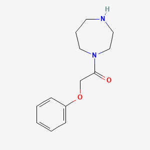 molecular formula C13H18N2O2 B3025351 1-(1,4-二氮杂环-1-基)-2-苯氧基乙烷-1-酮 CAS No. 815650-85-2