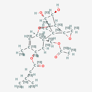 molecular formula C22H32O8 B3025796 HT-2 Toxin 13C22 CAS No. 1486469-92-4