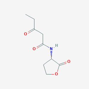 molecular formula C9H13NO4 B3025957 戊酰胺，3-氧代-N-[(3S)-四氢-2-氧代-3-呋喃基]- CAS No. 148433-21-0