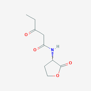 molecular formula C9H13NO4 B3025957 Pentanamide, 3-oxo-N-[(3S)-tetrahydro-2-oxo-3-furanyl]- 