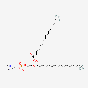 molecular formula C40H80NO8P B3025999 4-hydroxy-N,N,N-trimethyl-10-oxo-7-[(1-oxohexadecyl-16,16,16-d3)oxy]-3,5,9-trioxa-4-phosphapentacosan-25,25,25-d3-1-aminium, inner salt, 4-oxide CAS No. 82765-17-1