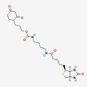 B3026048 N-[4-[[5-[(3aS,4S,6aR)-hexahydro-2-oxo-1H-thieno[3,4-d]imidazol-4-yl]-1-oxopentyl]amino]butyl]-carbamic acid, 3-(2,4-dioxocyclohexyl)propyl ester CAS No. 1001575-95-6