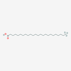 molecular formula C24H48O2 B3026113 Tetracosanoic-24,24,24-d3 acid CAS No. 851073-55-7