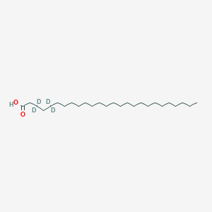 molecular formula C26H52O2 B3026118 (3,3,4,4-d4)-Hexacosanoic acid CAS No. 1208837-79-9