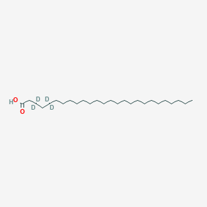 molecular formula C26H52O2 B3026118 (3,3,4,4-d4)-二十六酸 CAS No. 1208837-79-9