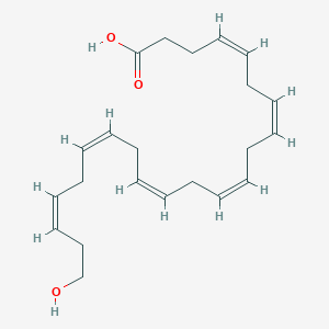 molecular formula C22H32O3 B3026293 (4Z,7Z,10Z,13Z,16Z,19Z)-22-Hydroxydocosahexaenoic acid CAS No. 90780-46-4