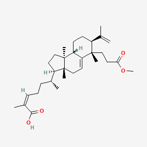 molecular formula C31H48O4 B3026652 Kadsuric acid 3-methylester CAS No. 1041070-16-9