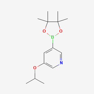 molecular formula C14H22BNO3 B3026882 3-异丙氧基-5-(4,4,5,5-四甲基-1,3,2-二氧杂硼烷-2-基)吡啶 CAS No. 1171892-42-4