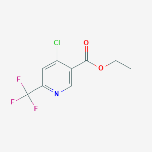 molecular formula C9H7ClF3NO2 B3026961 Ethyl 4-chloro-6-(trifluoromethyl)nicotinate CAS No. 1196146-35-6