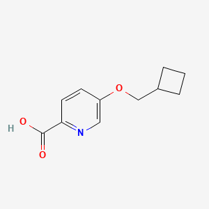 5-(Cyclobutylmethoxy)pyridine-2-carboxylic acid
