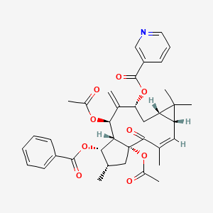 molecular formula C37H41NO9 B3027502 Euphorbia factor L9 CAS No. 129393-28-8