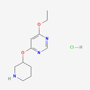 molecular formula C11H18ClN3O2 B3027635 4-Ethoxy-6-(piperidin-3-yloxy)pyrimidine hydrochloride CAS No. 1353948-32-9