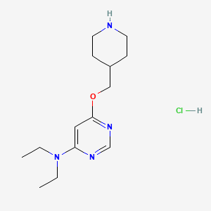 molecular formula C14H25ClN4O B3027670 N,N-Diethyl-6-(piperidin-4-ylmethoxy)pyrimidin-4-amine hydrochloride CAS No. 1353981-53-9
