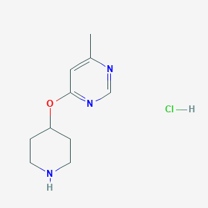 molecular formula C10H16ClN3O B3027792 4-甲基-6-(哌啶-4-氧基)嘧啶盐酸盐 CAS No. 1389315-13-2