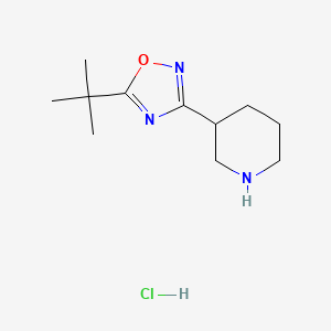 molecular formula C11H20ClN3O B3027799 3-(5-叔丁基-1,2,4-恶二唑-3-基)哌啶盐酸盐 CAS No. 1393330-46-5