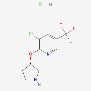 B3027866 (S)-3-Chloro-2-(pyrrolidin-3-yloxy)-5-(trifluoromethyl)pyridine hydrochloride CAS No. 1417789-61-7