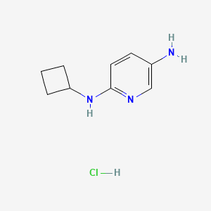 molecular formula C9H14ClN3 B3027964 N2-Cyclobutylpyridine-2,5-diamine hydrochloride CAS No. 1439902-93-8