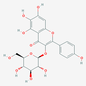 Scutellarein 3-O-glucoside