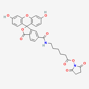 molecular formula C31H26N2O10 B3028033 5(6)-Sfx,SE CAS No. 148356-01-8