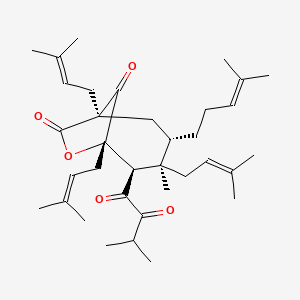 molecular formula C35H52O5 B3028097 (1R,3S,4R,5R,6S)-4-Methyl-1,4,6-tris(3-methylbut-2-enyl)-5-(3-methyl-2-oxobutanoyl)-3-(4-methylpent-3-enyl)-7-oxabicyclo[4.2.1]nonane-8,9-dione CAS No. 1600490-96-7