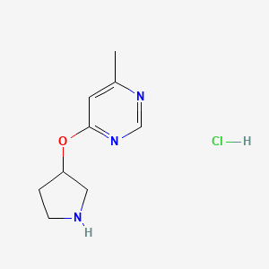 molecular formula C9H14ClN3O B3028207 4-甲基-6-(吡咯烷-3-氧基)嘧啶盐酸盐 CAS No. 1707367-83-6