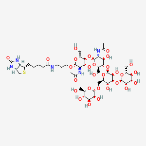 molecular formula C47H79N5O28S B3028395 5-[(3aS,4S,6aR)-2-oxo-1,3,3a,4,6,6a-hexahydrothieno[3,4-d]imidazol-4-yl]-N-[3-[(2R,3R,4R,5S,6R)-3-acetamido-5-[(2S,3R,4R,5S,6R)-3-acetamido-5-[(2S,3S,4S,5R,6R)-3,5-dihydroxy-4-[(2S,3S,4S,5S,6R)-3,4,5-trihydroxy-6-(hydroxymethyl)oxan-2-yl]oxy-6-[[(2S,3S,4S,5S,6R)-3,4,5-trihydroxy-6-(hydroxymethyl)oxan-2-yl]oxymethyl]oxan-2-yl]oxy-4-hydroxy-6-(hydroxymethyl)oxan-2-yl]oxy-4-hydroxy-6-(hydroxymethyl)oxan-2-yl]oxypropyl]pentanamide CAS No. 1995898-22-0