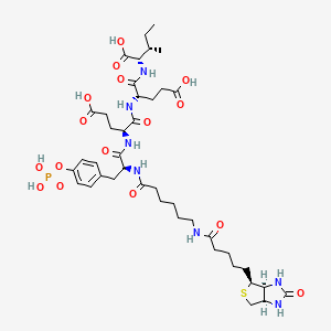 molecular formula C41H62N7O16PS B3028409 Biotinyl-e-aminocaproyl-Tyr(PO3H2)-Glu-Glu-Ile-OH CAS No. 201422-05-1