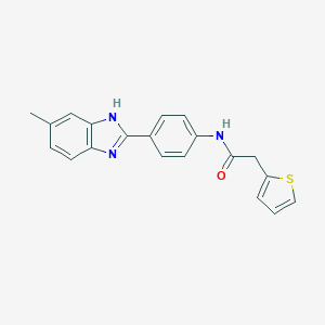 molecular formula C20H17N3OS B302842 N-[4-(5-methyl-1H-benzimidazol-2-yl)phenyl]-2-(2-thienyl)acetamide 