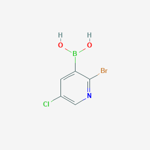 molecular formula C5H4BBrClNO2 B3028489 (2-溴-5-氯吡啶-3-基)硼酸 CAS No. 2121511-66-6