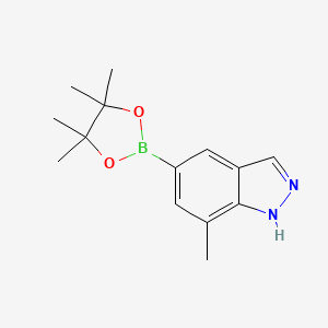 molecular formula C14H19BN2O2 B3028490 7-Methyl-1H-indazole-5-boronic acid pinacol ester CAS No. 2121513-33-3