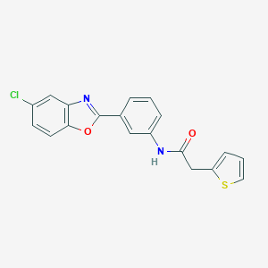 molecular formula C19H13ClN2O2S B302854 N-[3-(5-chloro-1,3-benzoxazol-2-yl)phenyl]-2-(2-thienyl)acetamide 