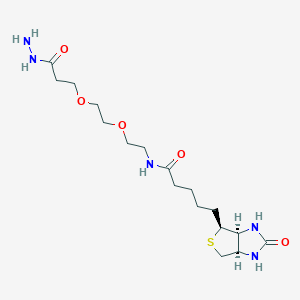 molecular formula C17H31N5O5S B3028608 (+)-Biotin-PEG2-Hydrazide CAS No. 2413847-26-2