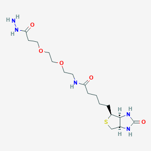 (+)-Biotin-PEG2-Hydrazide