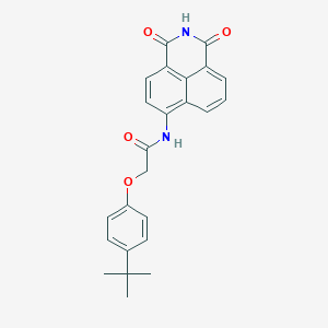 molecular formula C24H22N2O4 B302901 2-(4-tert-butylphenoxy)-N-(1,3-dioxo-2,3-dihydro-1H-benzo[de]isoquinolin-6-yl)acetamide 