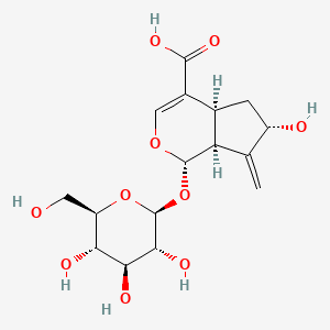 molecular formula C16H22O10 B3029138 加多苷 CAS No. 54835-76-6