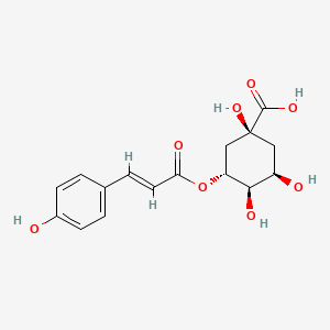 trans-5-O-(4-coumaroyl)-D-quinic acid