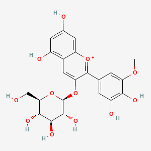 molecular formula C22H23O12+ B3029599 矮牵牛素 3-葡萄糖苷 CAS No. 71991-88-3