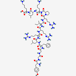 Dynorphin A Porcine Fragment 1-13